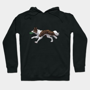 Running Brindle Border Collie with Frisbee Hoodie